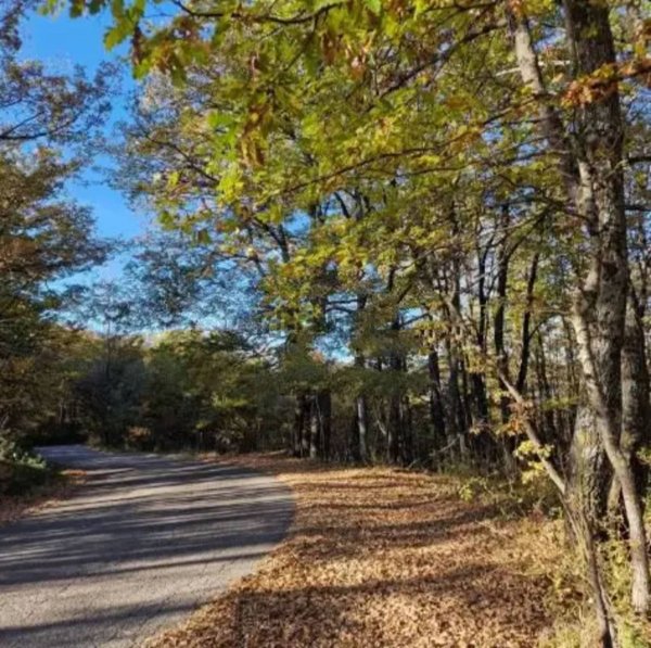 casa indipendente in vendita a Menconico