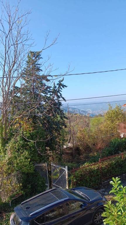 casa indipendente in vendita a Menconico