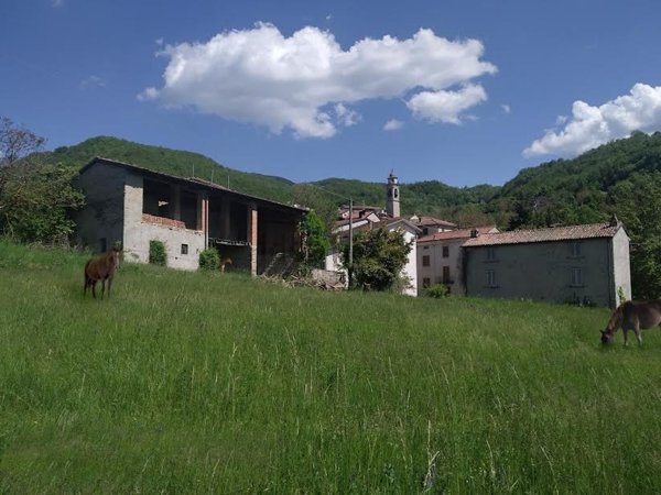 casale in vendita a Menconico