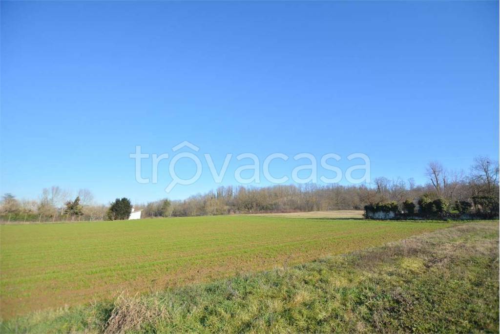 casa indipendente in vendita a Miradolo Terme