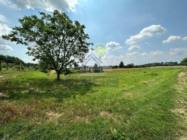 terreno agricolo in vendita a Miradolo Terme