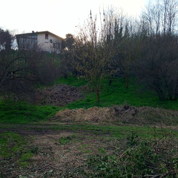 terreno agricolo in vendita a Miradolo Terme