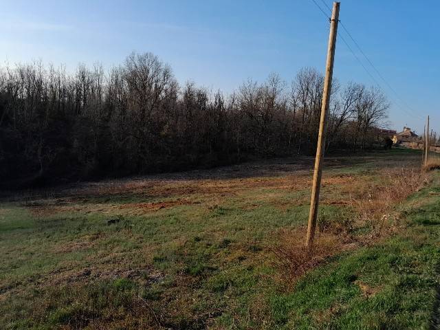 terreno agricolo in vendita a Miradolo Terme