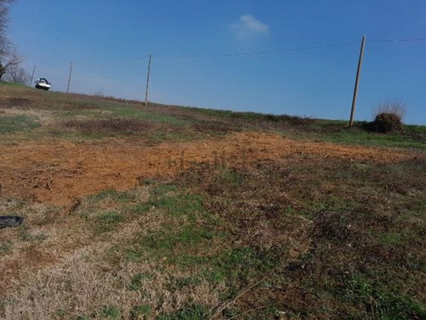 terreno agricolo in vendita a Miradolo Terme