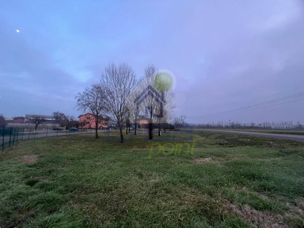 terreno agricolo in vendita a Miradolo Terme