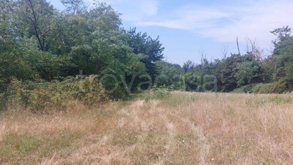 terreno agricolo in vendita a Miradolo Terme in zona Terme di Miradolo