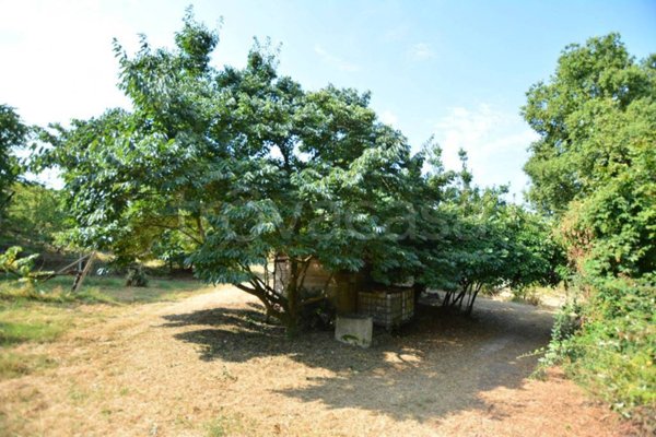 terreno agricolo in vendita a Miradolo Terme