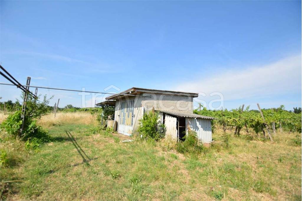 terreno agricolo in vendita a Miradolo Terme in zona Terme di Miradolo