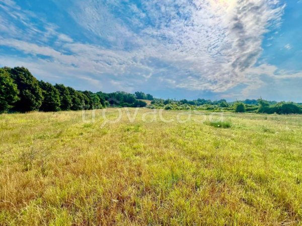 terreno agricolo in vendita a Miradolo Terme in zona Terme di Miradolo
