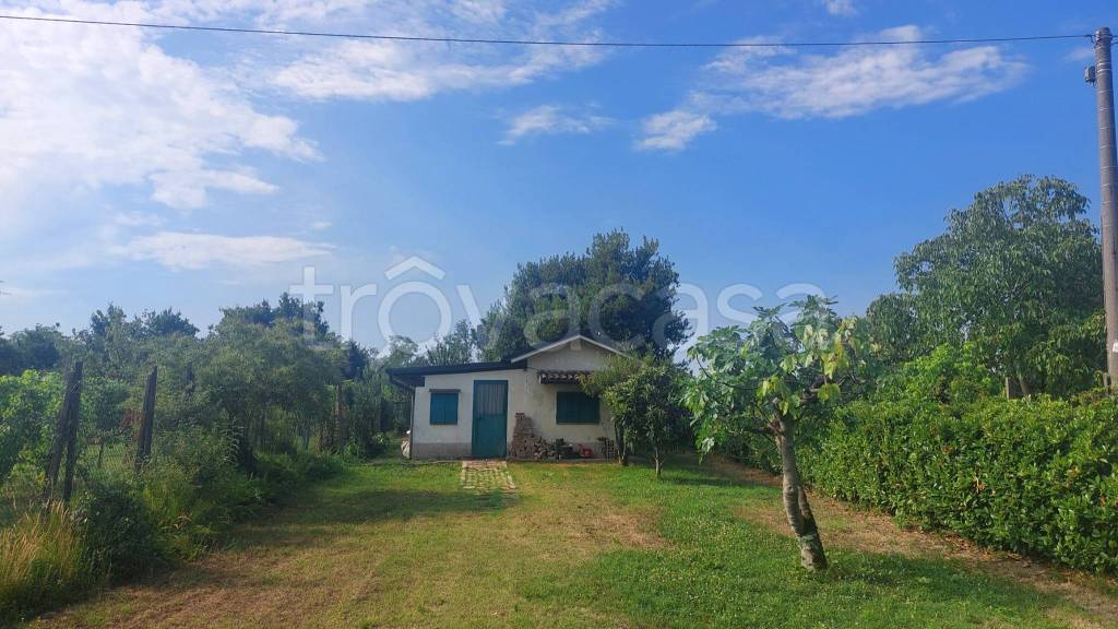 terreno agricolo in vendita a Miradolo Terme