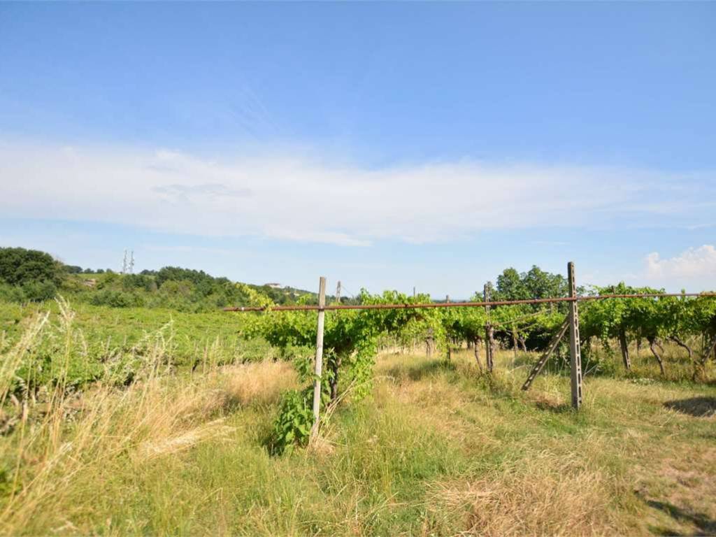terreno agricolo in vendita a Miradolo Terme