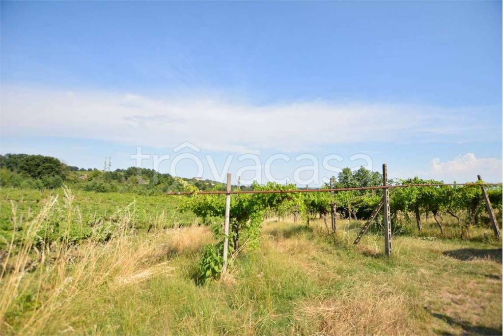 terreno agricolo in vendita a Miradolo Terme