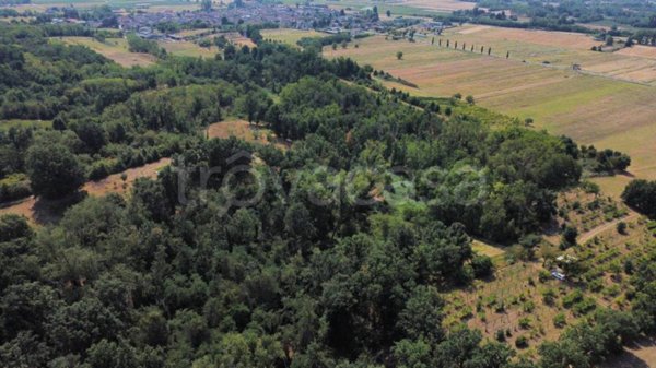 terreno agricolo in vendita a Miradolo Terme in zona Camporinaldo