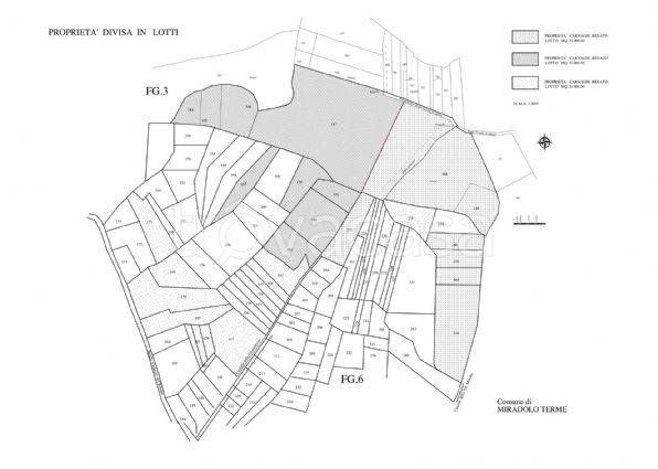 azienda agricola in vendita a Miradolo Terme