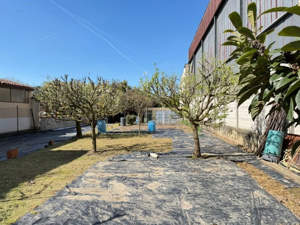 terreno edificabile in vendita a Miradolo Terme