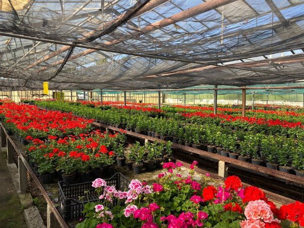 terreno edificabile in vendita a Montebello della Battaglia