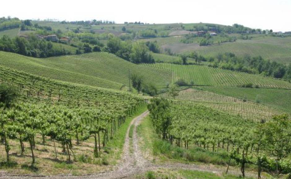 negozio in vendita a Montecalvo Versiggia