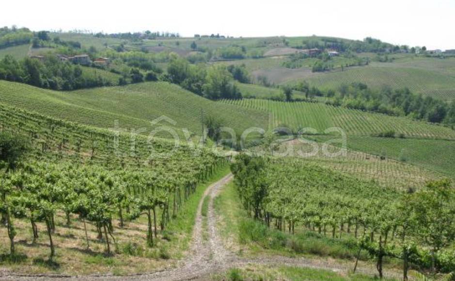 ufficio in vendita a Montecalvo Versiggia