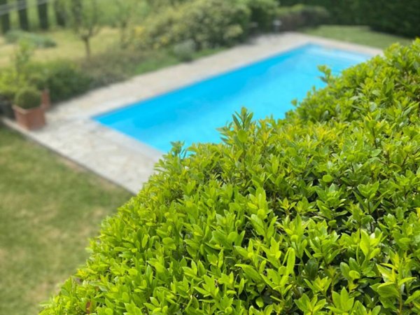 casa indipendente in vendita a Montecalvo Versiggia
