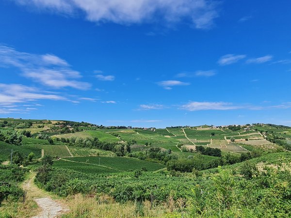 casa indipendente in vendita a Montecalvo Versiggia