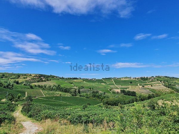 azienda agricola in vendita a Montecalvo Versiggia