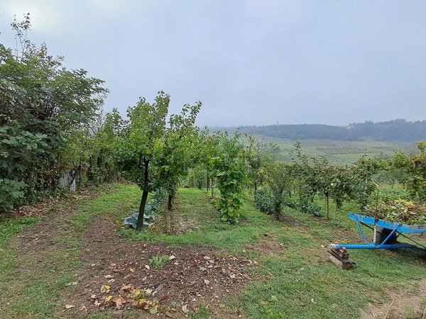 casa indipendente in vendita a Montescano