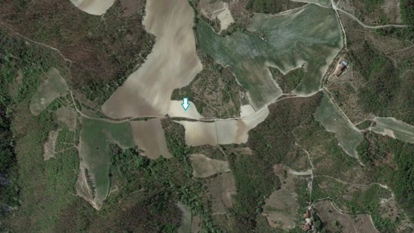 terreno agricolo in vendita a Montesegale