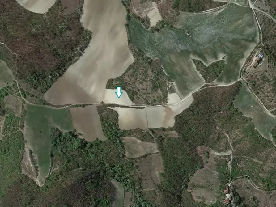 terreno agricolo in vendita a Montesegale