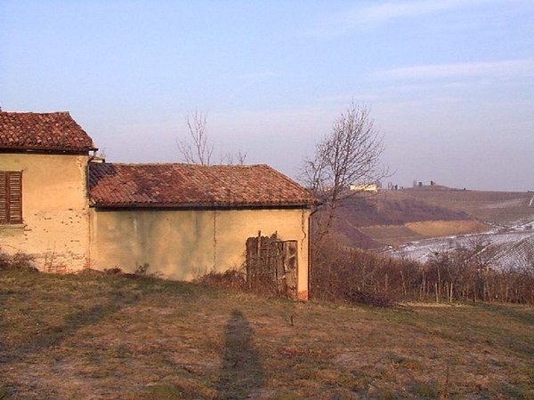 esavano in vendita a Montù Beccaria