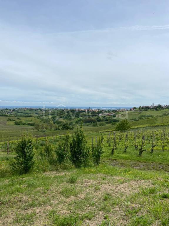 terreno agricolo in vendita a Montù Beccaria