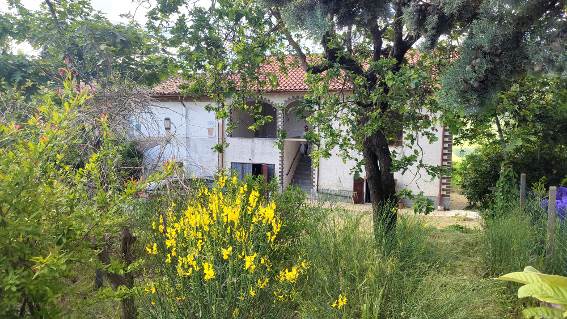 casa indipendente in vendita a Montù Beccaria
