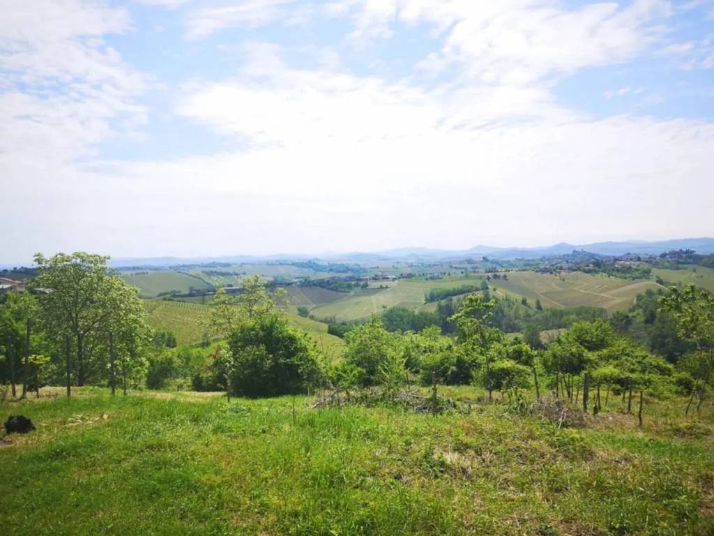 terreno agricolo in vendita a Montù Beccaria in zona Costa Montefedele