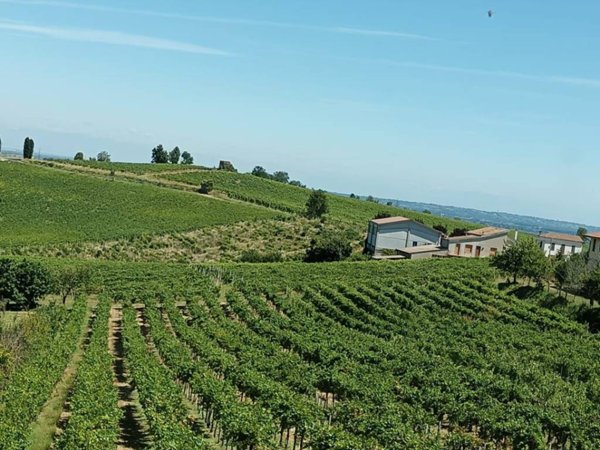 terreno agricolo in vendita a Montù Beccaria