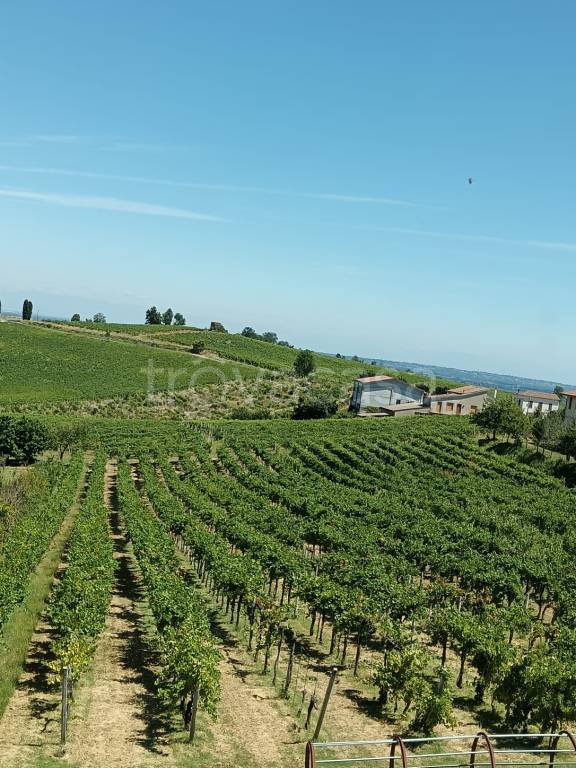 terreno agricolo in vendita a Montù Beccaria