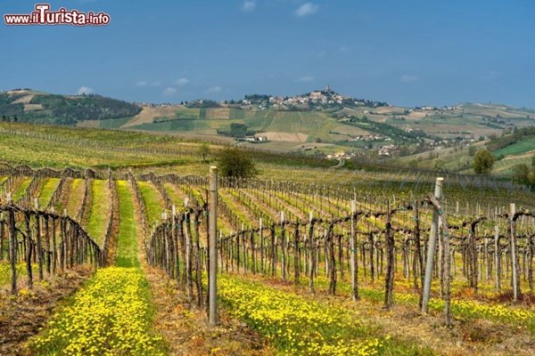 casa indipendente in vendita a Montù Beccaria