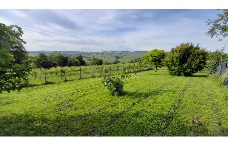 terreno agricolo in vendita a Montù Beccaria in zona Poggiolo