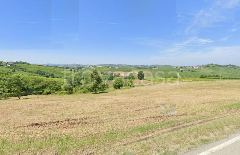 terreno agricolo in vendita a Montù Beccaria