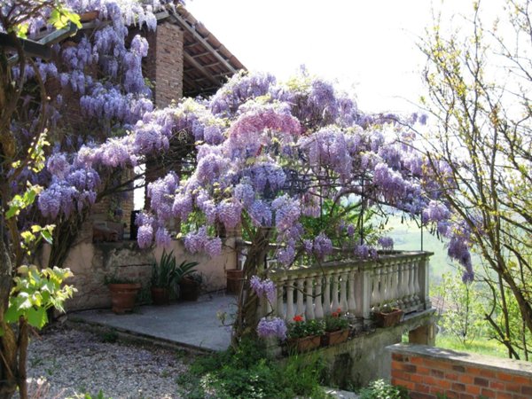 casa indipendente in vendita a Mornico Losana