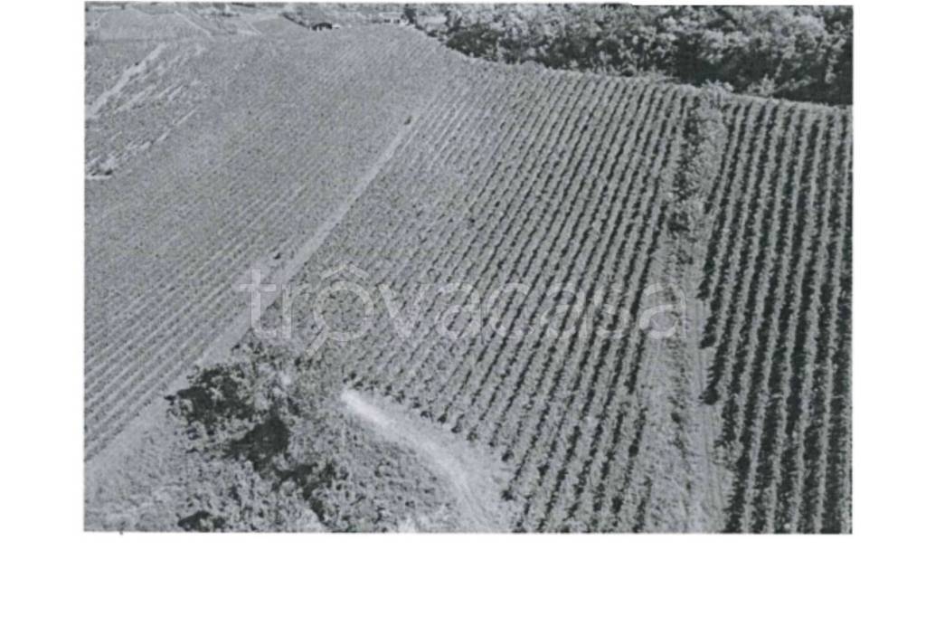 terreno agricolo in vendita a Mornico Losana