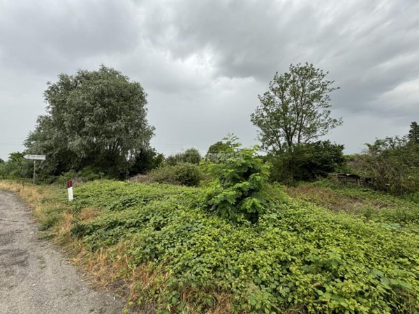 terreno agricolo in vendita a Mortara