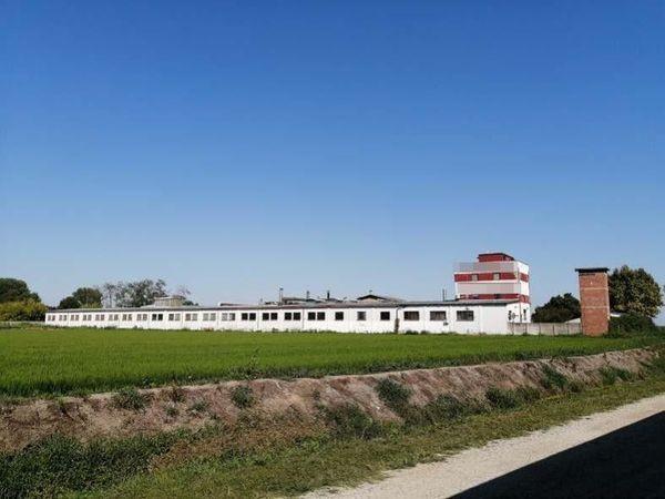 capannone in vendita a Mortara