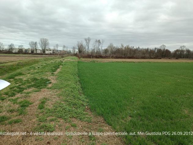 terreno agricolo in vendita a Mortara