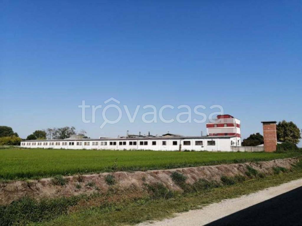 negozio in vendita a Mortara