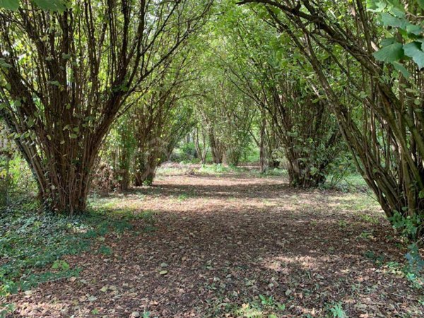 terreno edificabile in vendita a Mortara