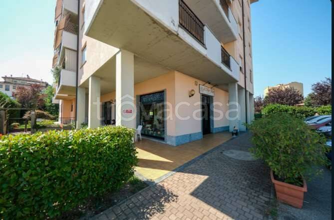 negozio in vendita a Mortara