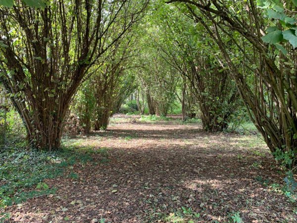 terreno edificabile in vendita a Mortara