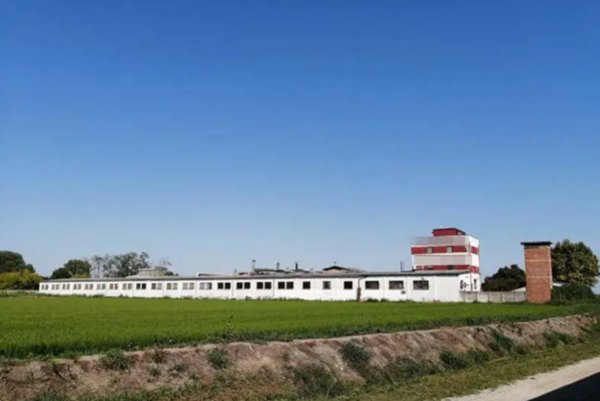 capannone in vendita a Mortara