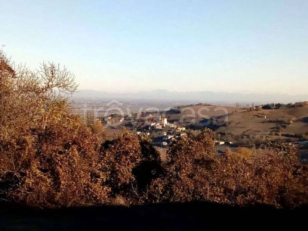 terreno edificabile in vendita ad Oliva Gessi