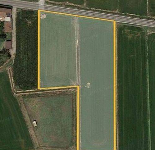 terreno agricolo in vendita a Palestro