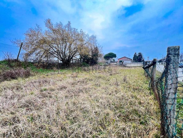 esavano in vendita a Palestro